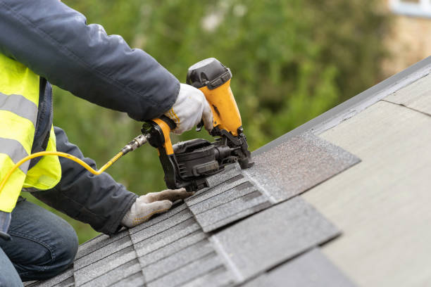 Best Asphalt Shingle Roofing  in Cheval, FL