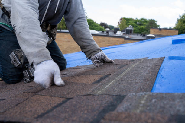 Best Metal Roofing Installation  in Cheval, FL
