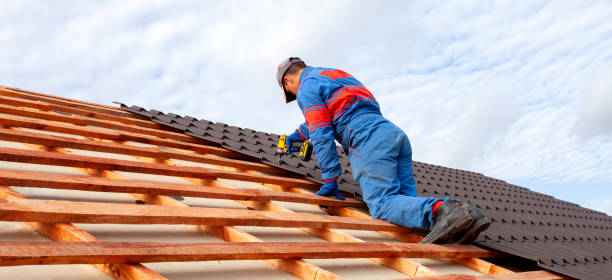 Best Chimney Flashing Repair  in Cheval, FL